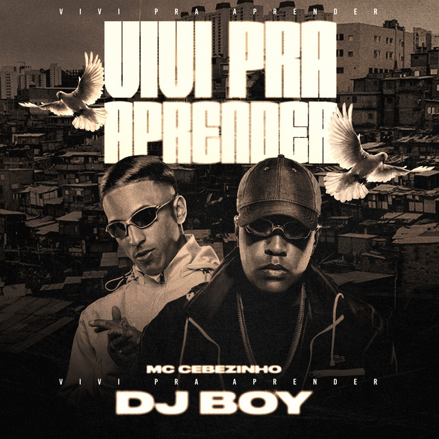 DJ BOY & MC Cebezinho - Vivi Pra Aprender