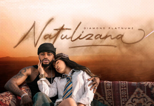 Diamond Platnumz - Natulizana