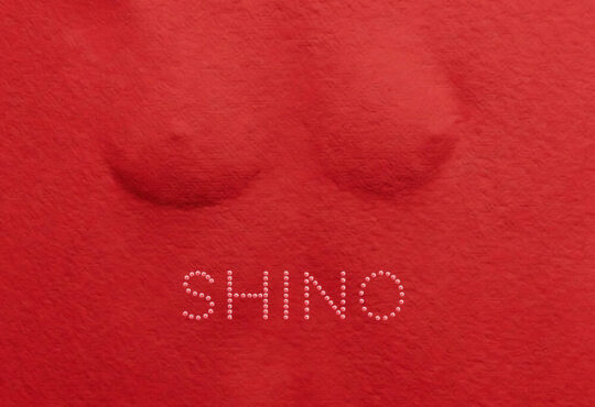 Skiibii ft. Oxlade - SHINO