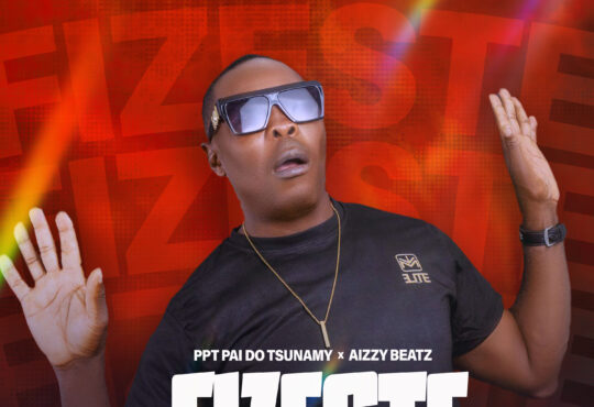 PPT - Fizeste o Qué ?