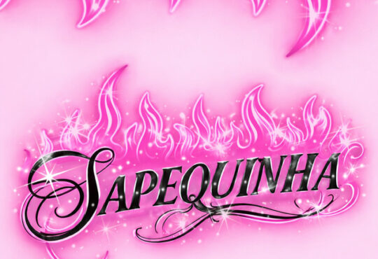 MC Kevin o Chris - Sapequinha