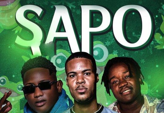Sapo Naru x Tchutchu LiBrinca x DJ Kenny Fox & Best Family - Sapo