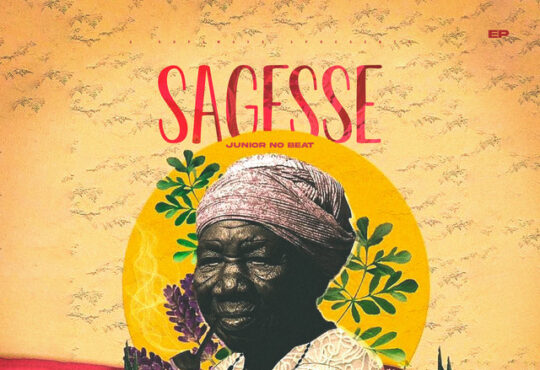 Júnior No Beat - Sagesse