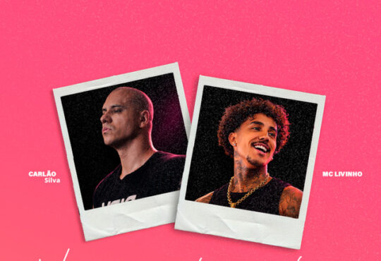 Carlão Silva ft. MC Livinho - Você não está sozinha