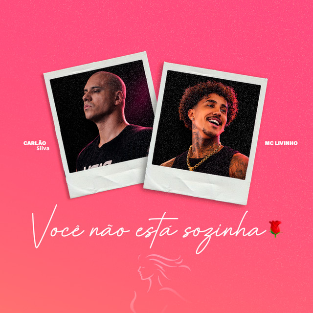 Carlão Silva ft. MC Livinho - Você não está sozinha 