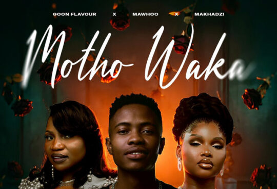 Goon Flavour - Motho Waka (feat. MaWhoo, Makhadzi Entertainment)