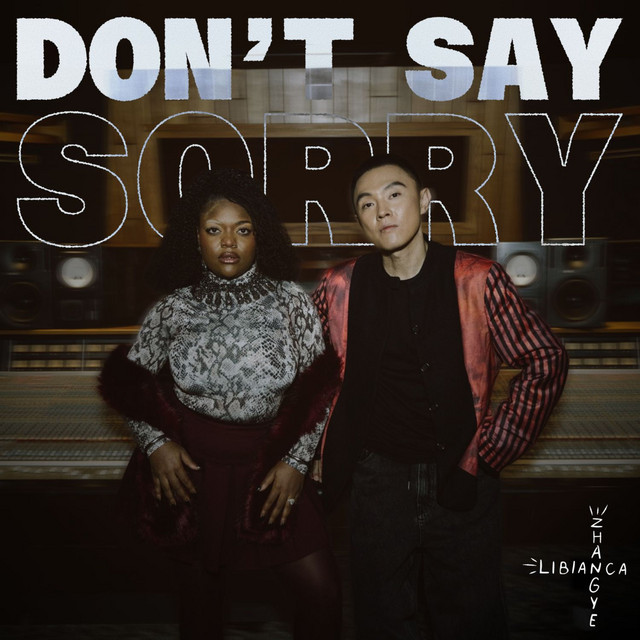 ZHANGYE - Don't Say Sorry (feat. Libianca)